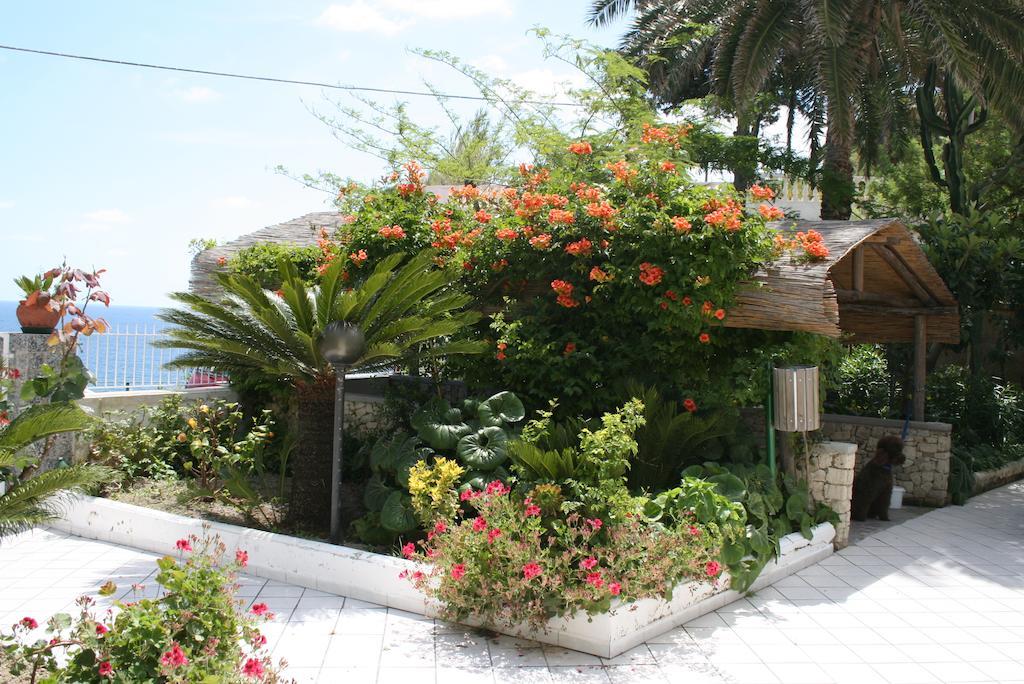 Hotel Villa Bina Sant'Angelo  ภายนอก รูปภาพ