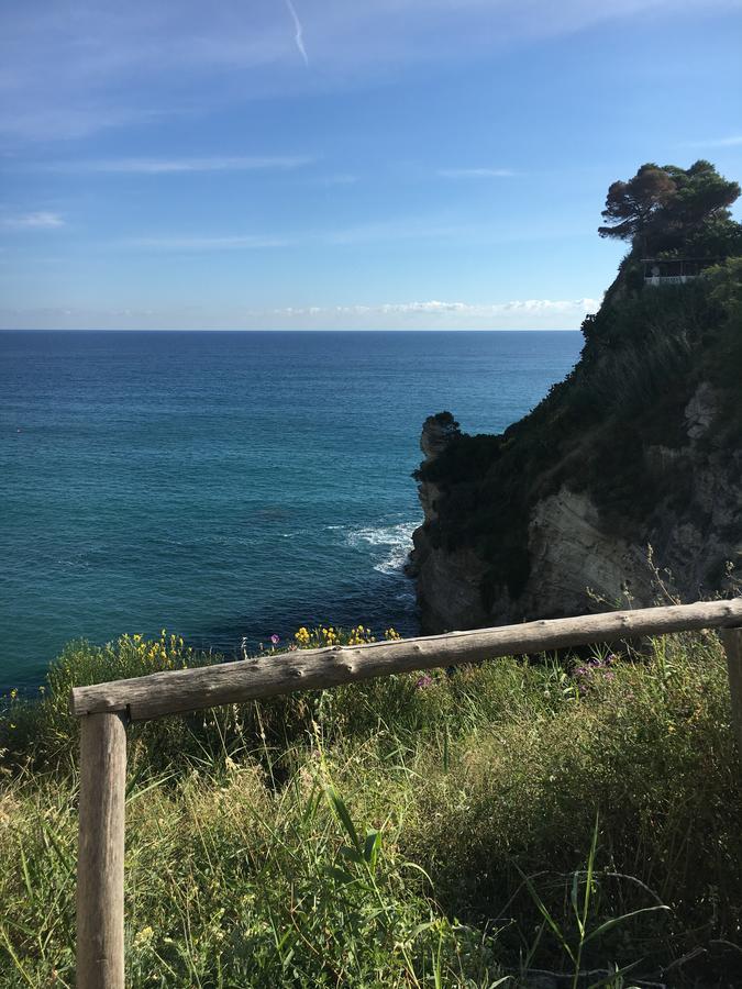 Hotel Villa Bina Sant'Angelo  ภายนอก รูปภาพ